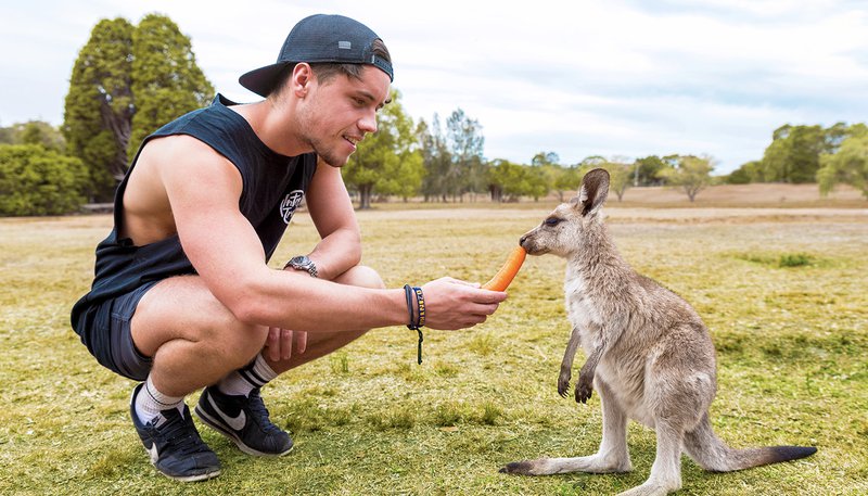 Australia Zoo 2