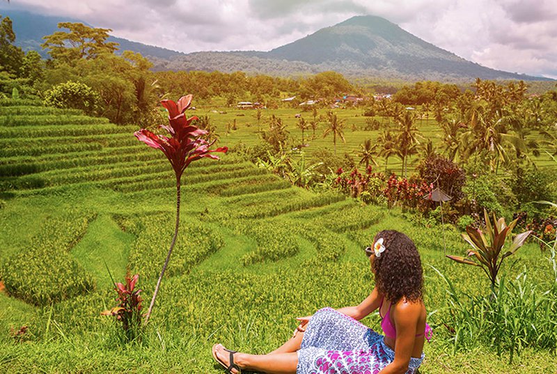 Bali Experience Rice Paddies