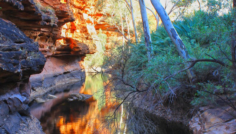 Kings Canyon Budget Uluru