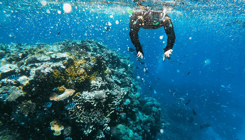 Cairns Day 4 Great Barrier Reef