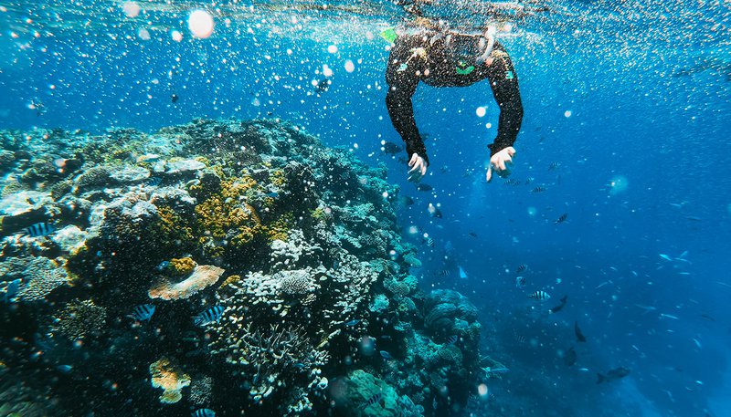 Cairns Day 4 Great Barrier Reef