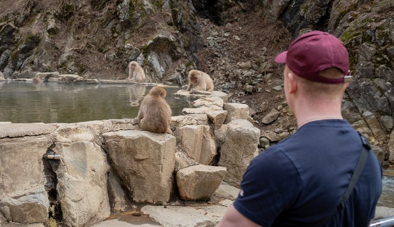 Japan Day 5 Snow Monkeys