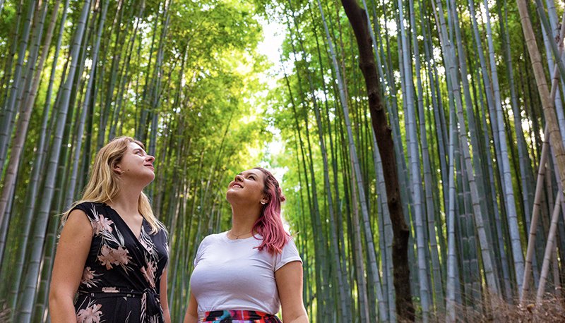 Japan Day 11 Bamboo Forest