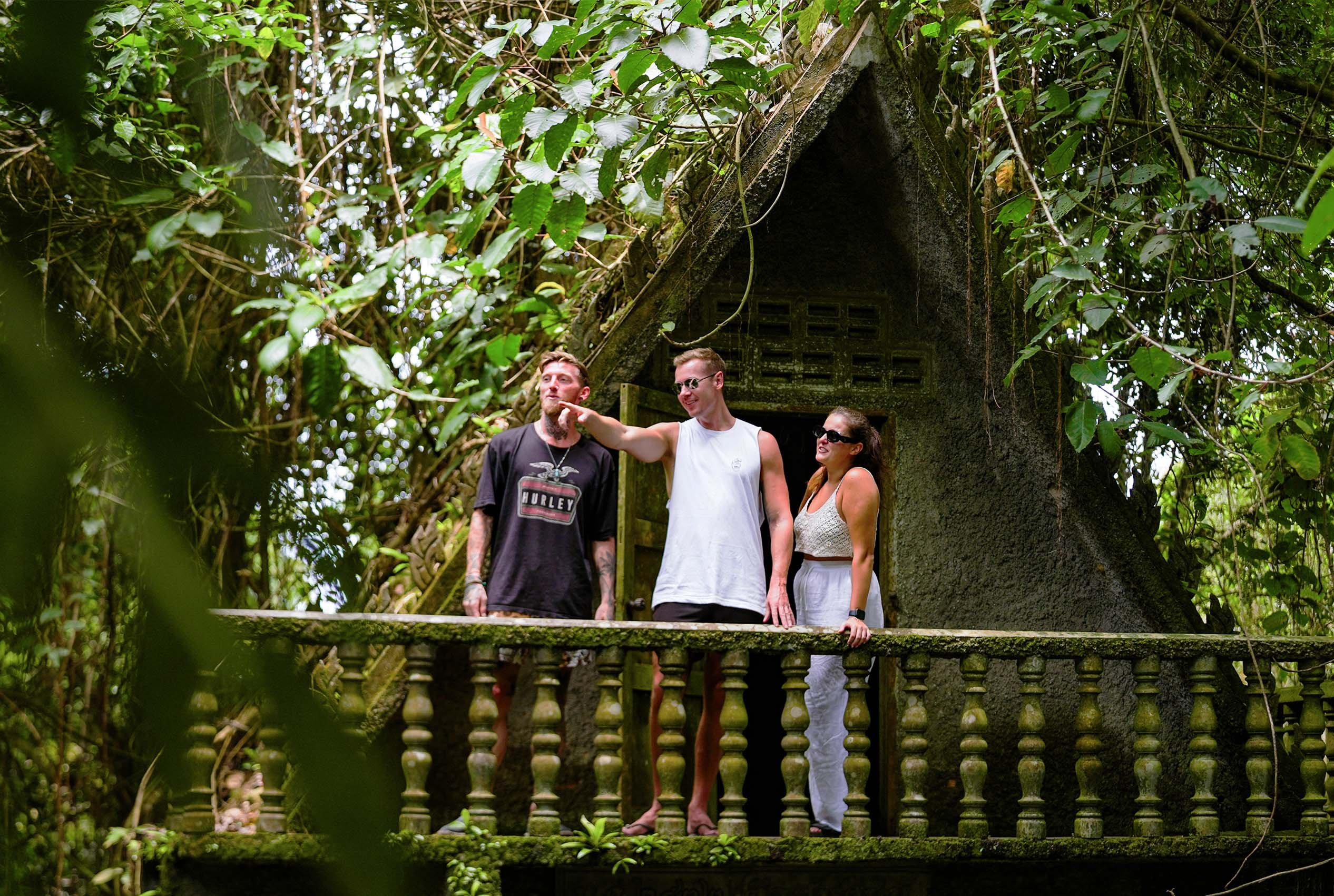 KohSamui_trees