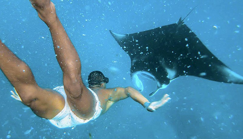 Nusa Lembongan Manta Ray Snorkelling Bali Experience