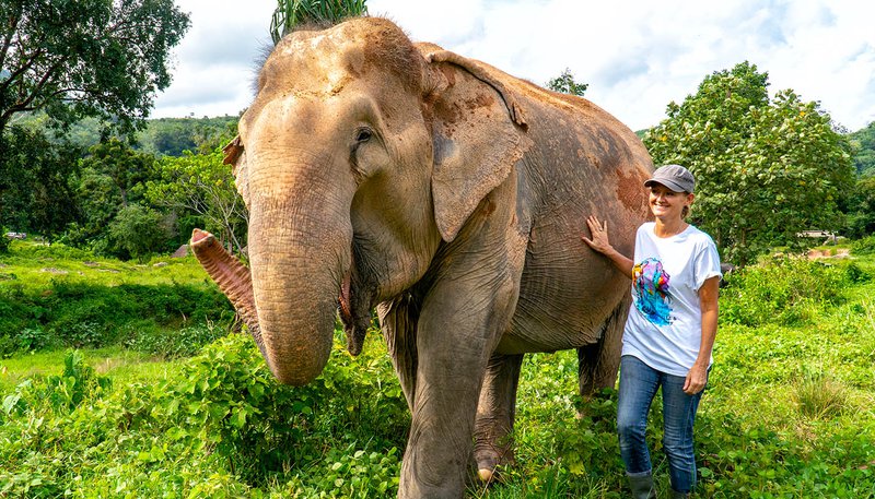 South East Asia Experience Phuket Elephants Day 12