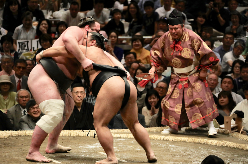 sumo.png