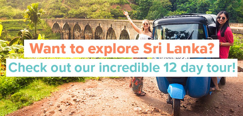 Sri Lanka Blog Banner