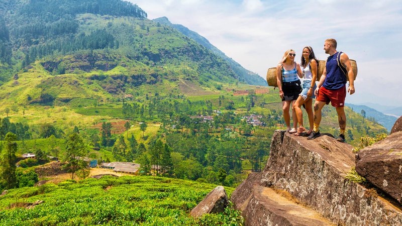 Sri Lanka Homepage Hero Tea Plantations