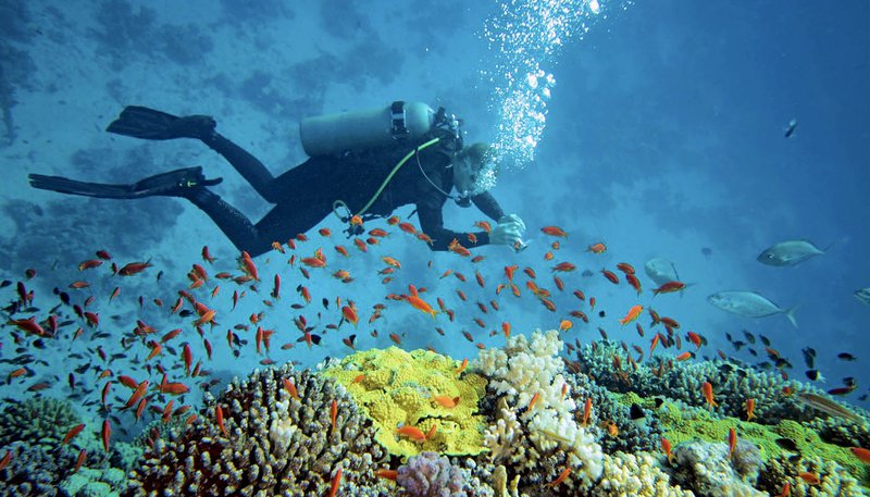 Thai Intro + Dive Day 12