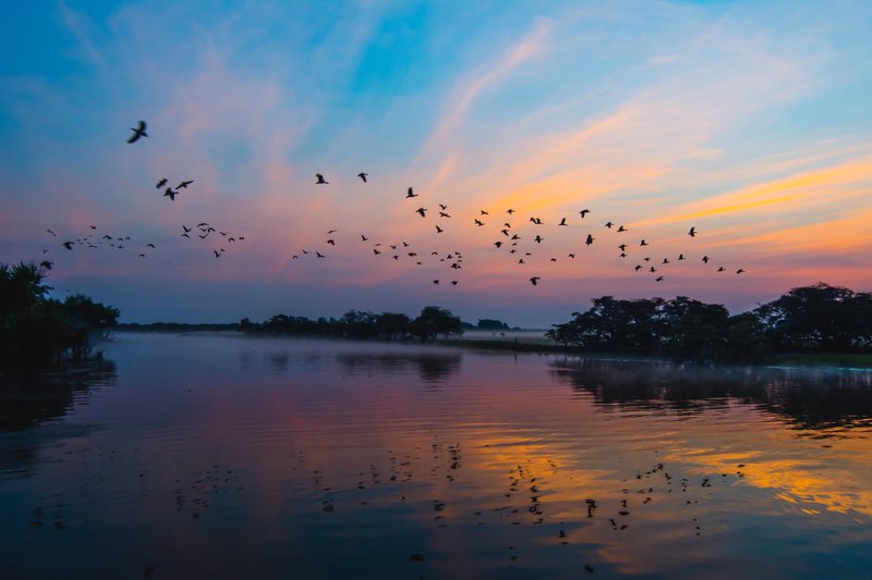 kakadu cruise