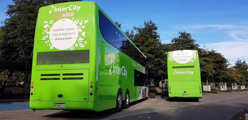 New Zealand Bus