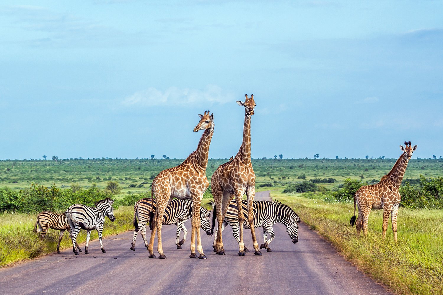 Kruger National Park
