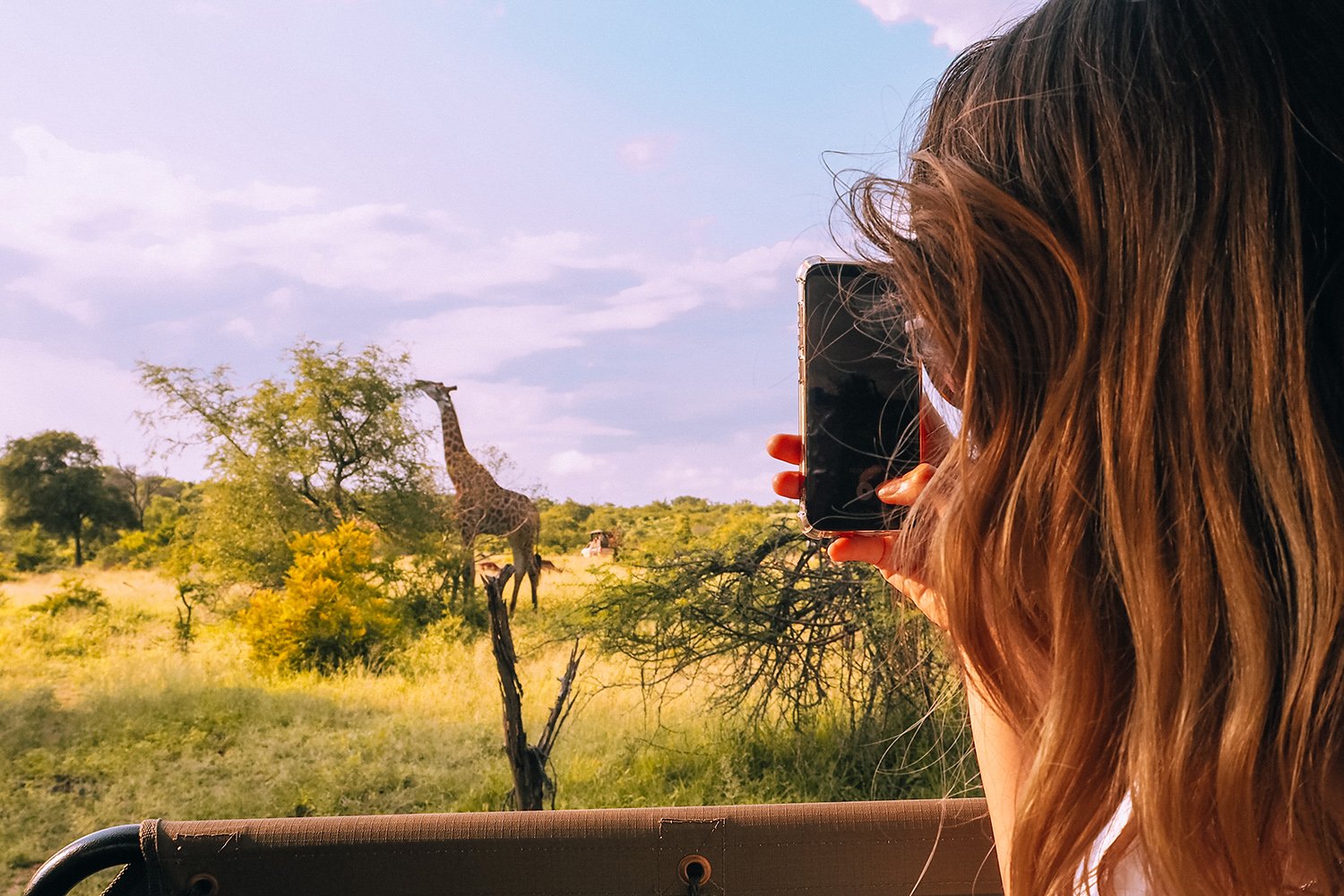Kruger National Park Giraffe Open Game Drive2