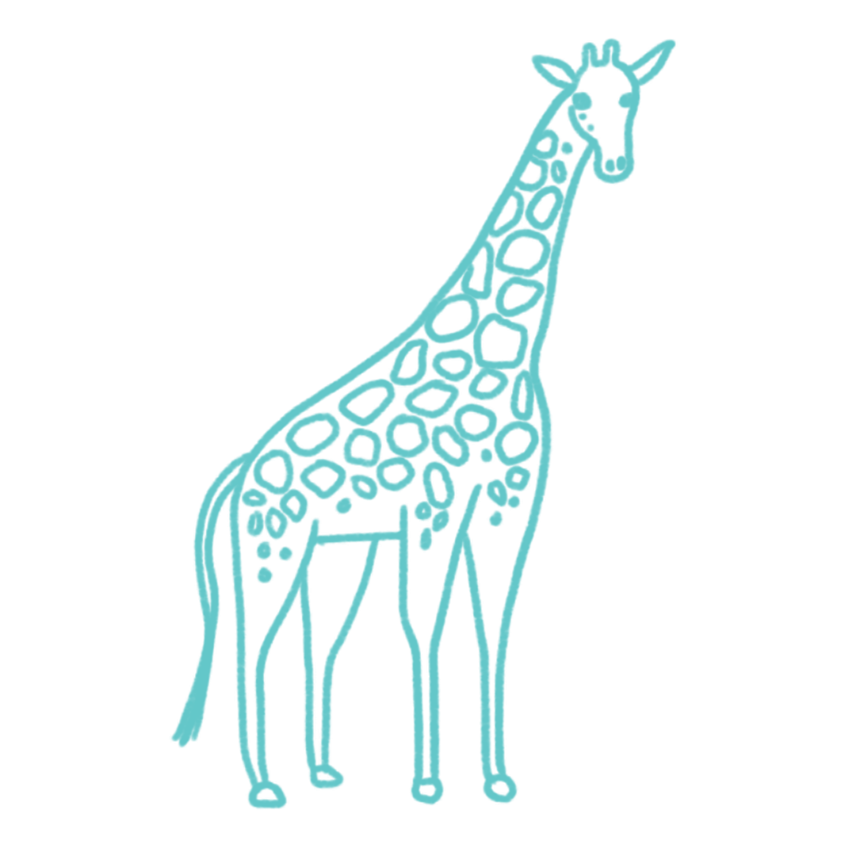 South Africa Activity Icon